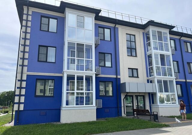 ул Им И.Д.Елисеева 3а Мкрн «4 сезона» городское поселение посёлок Разумное фото