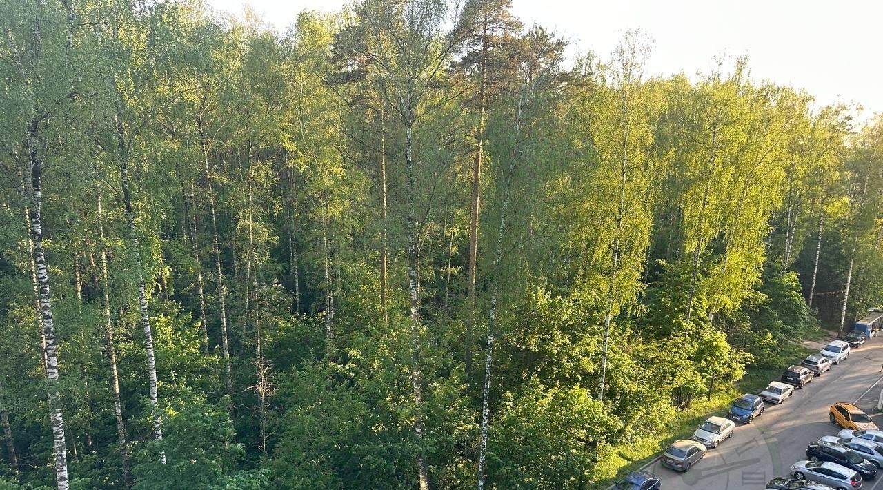 квартира г Ивантеевка проезд Центральный 17 Пушкинский городской округ фото 22