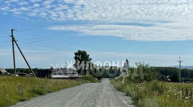 ул Мира фото