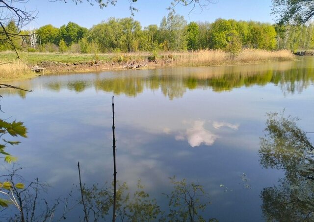 ул Луговая Горняцкое сельское поселение, Милославское фото