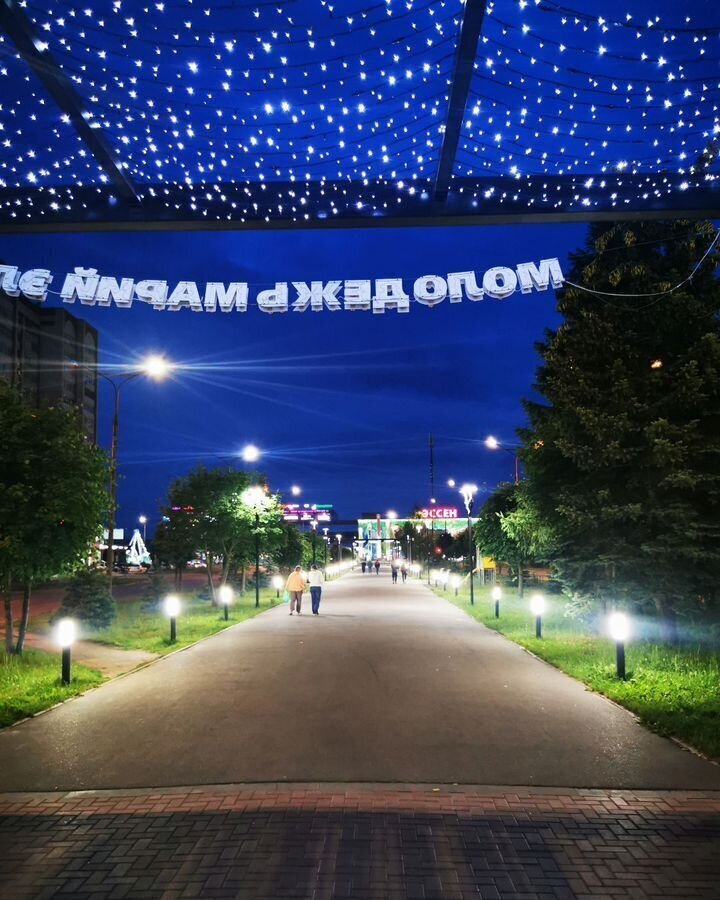 квартира г Йошкар-Ола б-р Чавайна 15 фото 32
