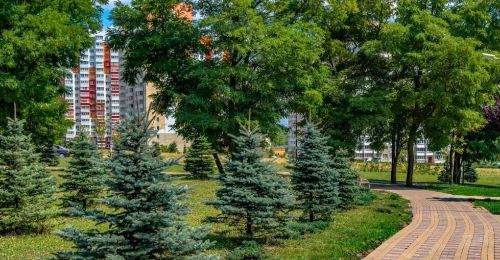квартира г Ростов-на-Дону р-н Октябрьский ул Уланская 17с/3 фото 14