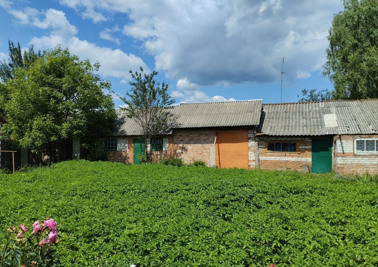 дом г Новозыбков ул Гоголя 10а Новозыбковский г. о. фото 2