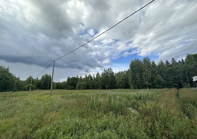 земля Трасса Скандинавия, 103 км, Селезнёвское сельское поселение, Авангардная ул фото
