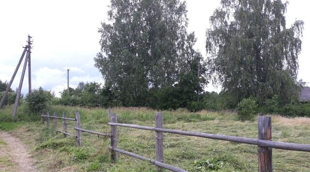 Пушкиногорье городское поселение, д. Кириллово фото