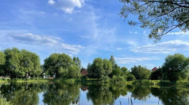 Русский Лес кп фото