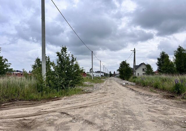 земля Калининград фото