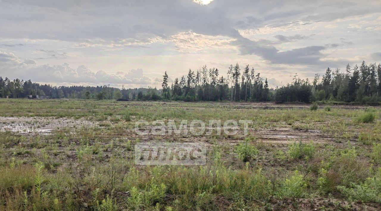 земля городской округ Богородский г Электроугли Железнодорожная, ул. МОГЭС фото 6