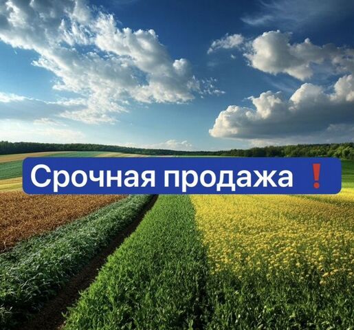 снт Приморский 8-я линия, Карабудахкентский р-н фото