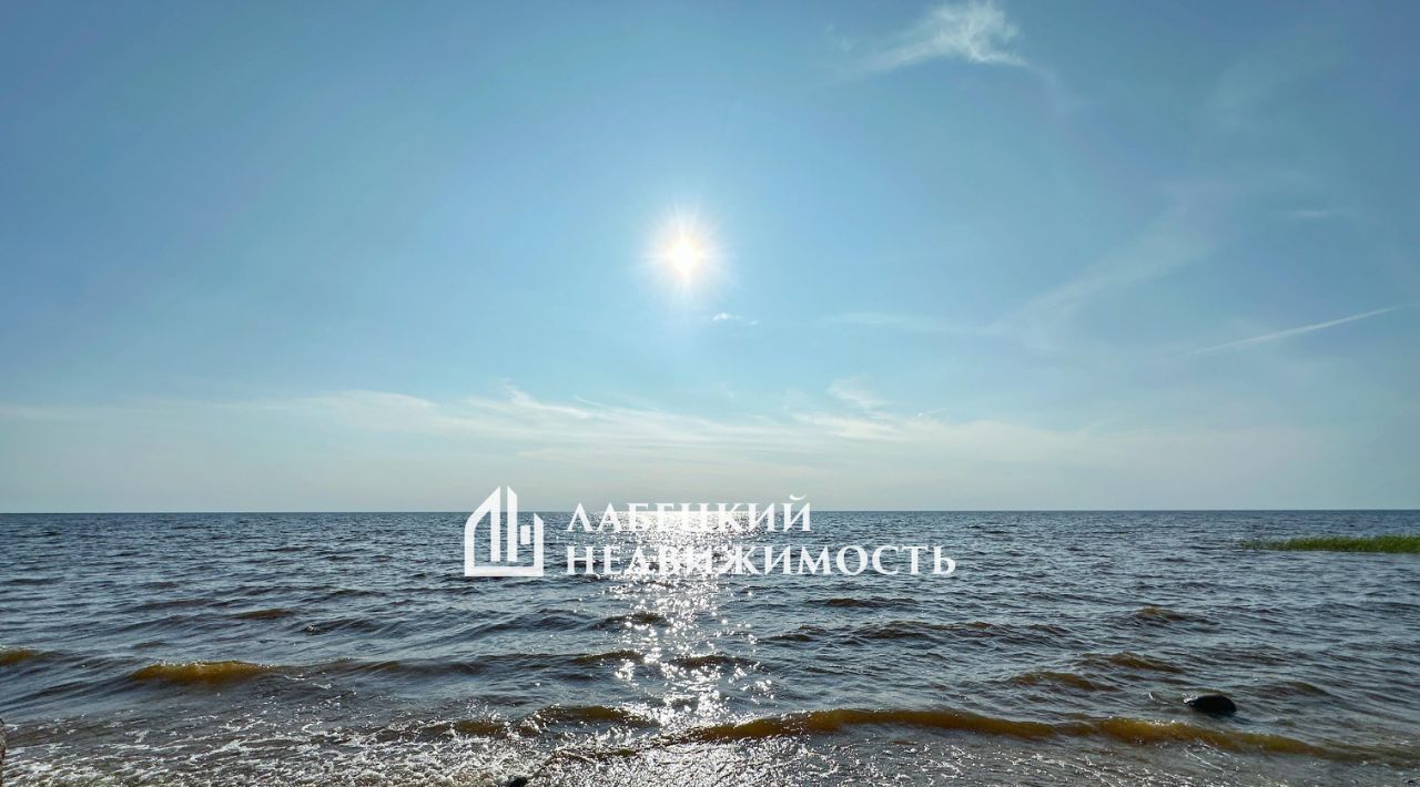дом р-н Гдовский г Гдов д Надозерье фото 39