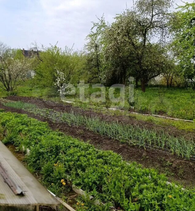 земля г Советск фото 10