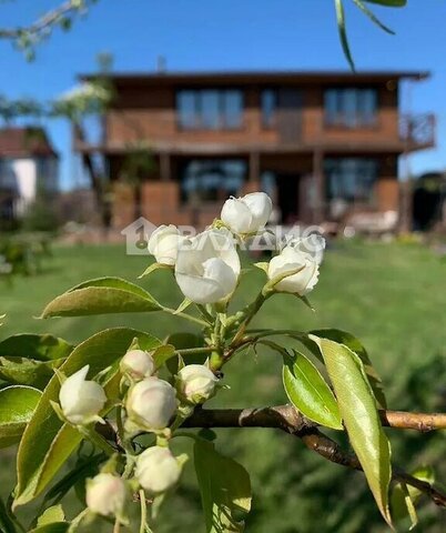 ул Солнечная 36 Колтушское городское поселение, Улица Дыбенко фото