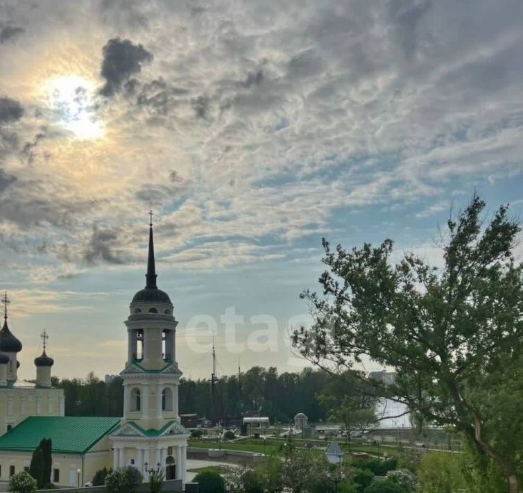 квартира г Воронеж р-н Центральный ул Софьи Перовской 48 фото 30