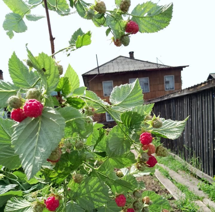 дом г Красноярск р-н Свердловский ул Сибирская фото 13
