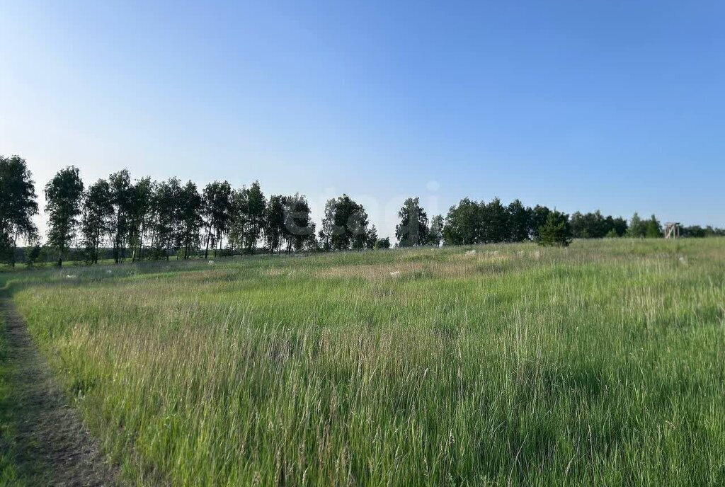 земля г Ульяновск с Лаишевка пер 1-й Грунтовый фото 4