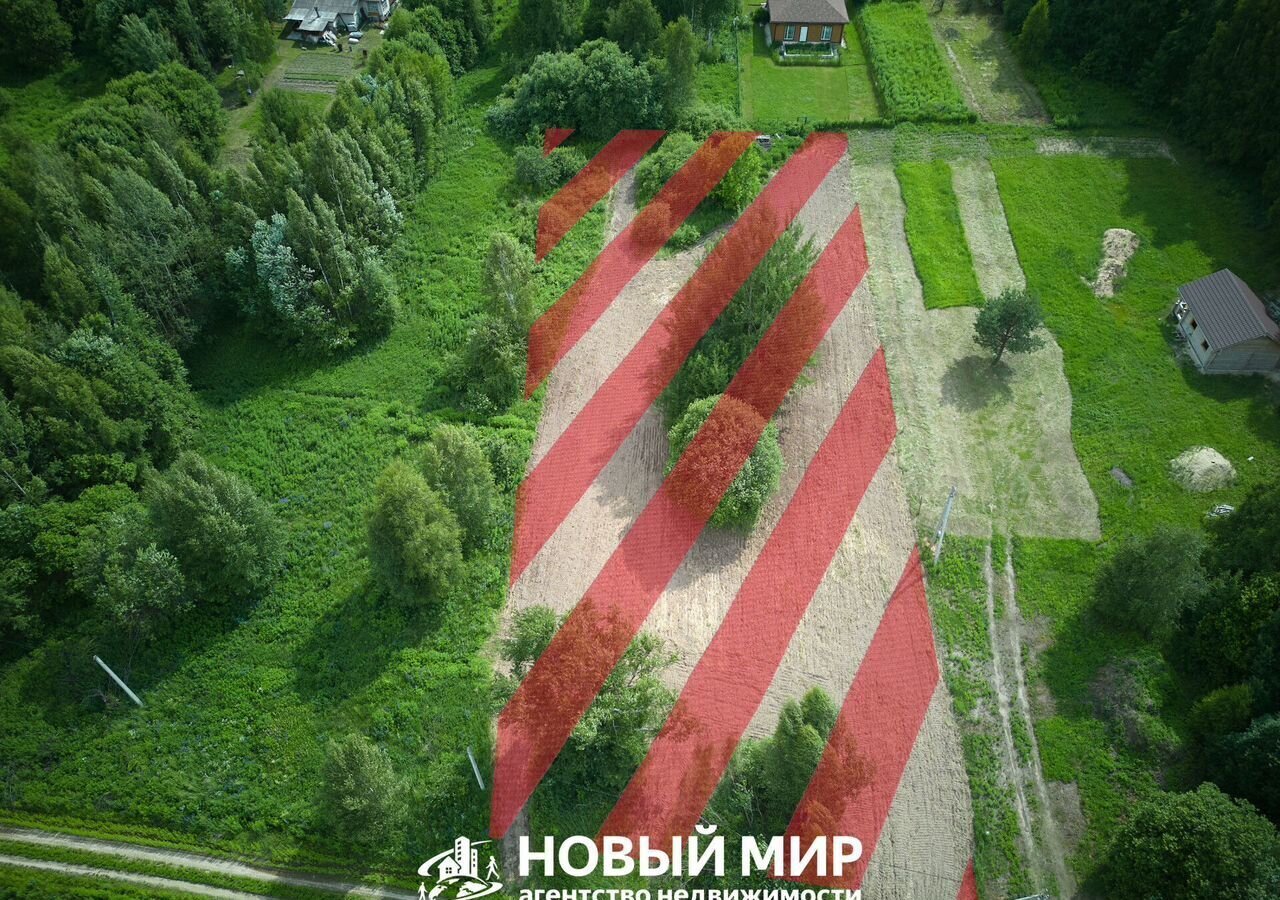 земля г Бор д. Ушенино фото 1