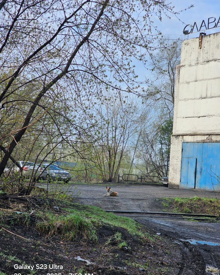 производственные, складские г Киселевск ул Панфилова 1 Кемеровская обл. — Кузбасс фото 3