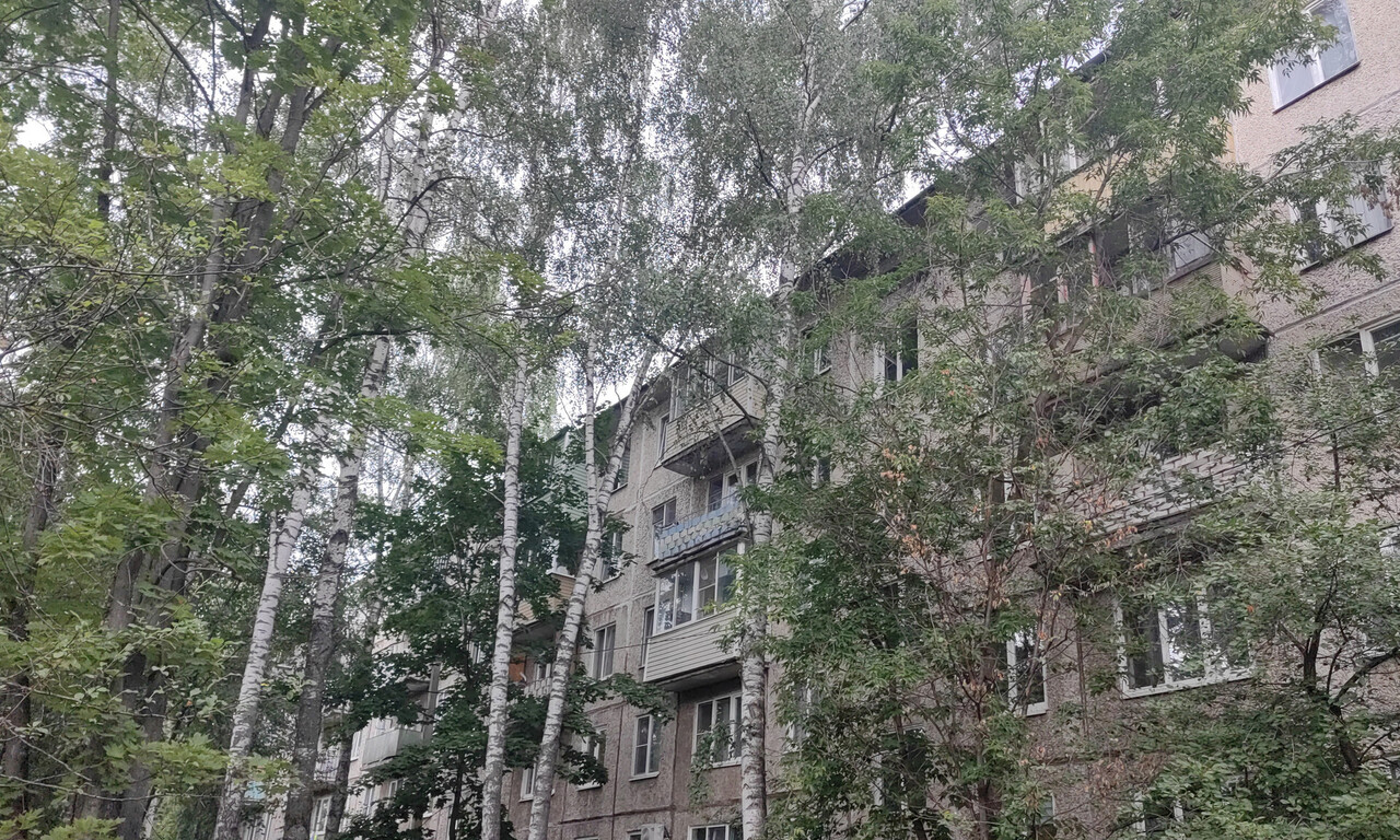 квартира г Пушкино Серебрянка 10 фото 11
