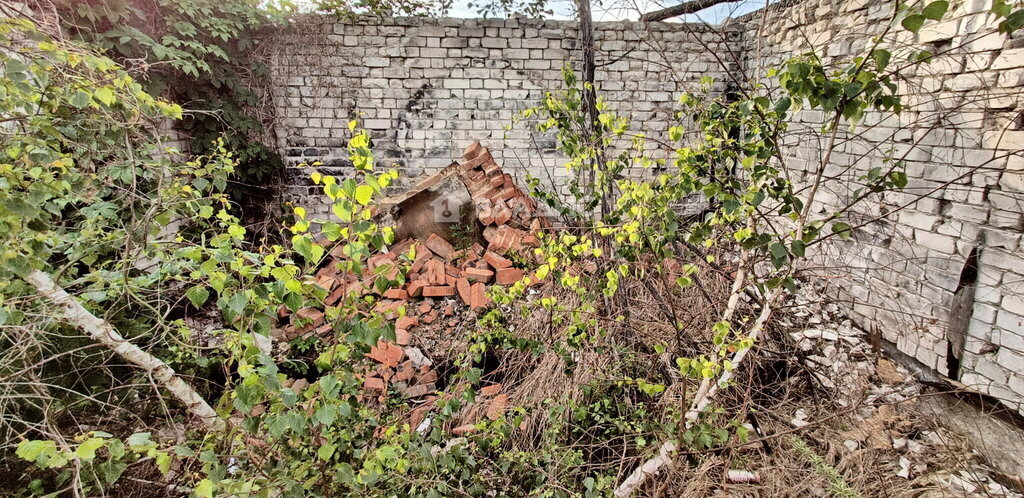 земля г Брянск тер СО Автодорожник фото 6