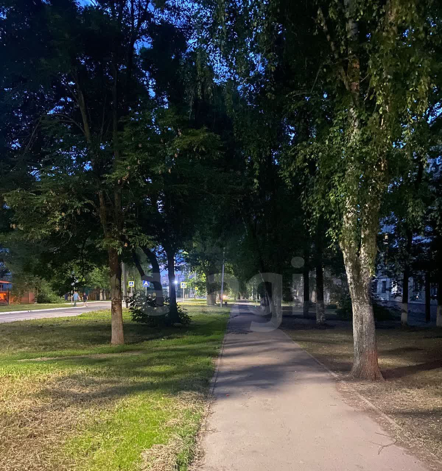 квартира г Саранск рп Луховка Ремзавод ул Рабочая 29 м-н фото 3