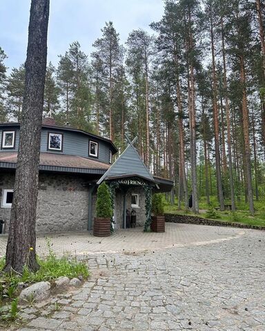 п Первомайское Рощинское городское поселение, территория Лебяжье, Рыбачья дорога, 4 фото