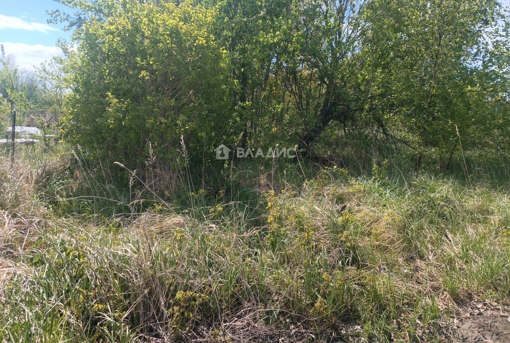 земля р-н Зеленоградский г Зеленоградск ул Калининградская фото 3