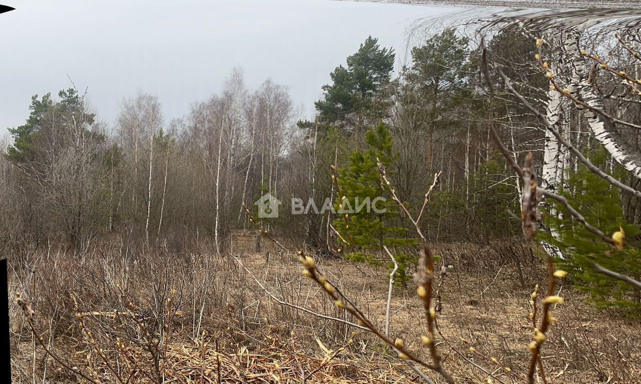 земля г Тобольск снт Лесовичек ул Дальняя фото 3