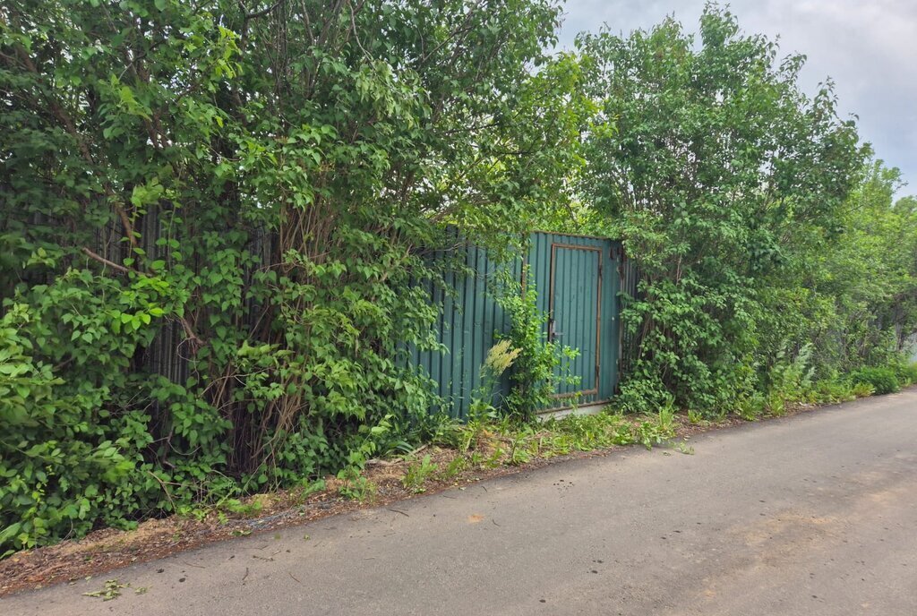 дом городской округ Истра г Дедовск снт Мирный-1 10, Нахабино фото 13