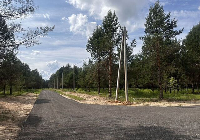 д Ивановское (Краснослободский с/с) ул Дубравная фото