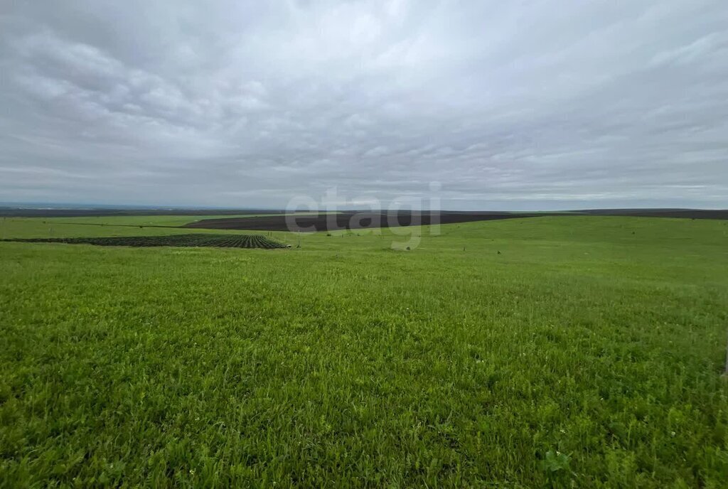 земля г Назрань ЦАО фото 11