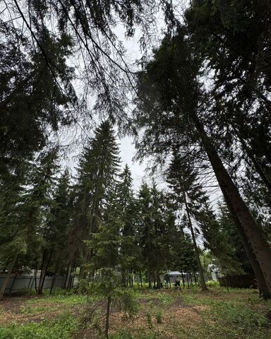 ул Железнодорожная 18 26 км, городской округ Солнечногорск, д. Покров, Менделеево, Рогачёвское шоссе фото