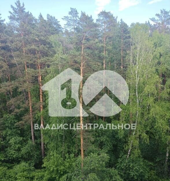 квартира г Новосибирск р-н Советский Нижняя Ельцовка ул Экваторная 16 фото 3