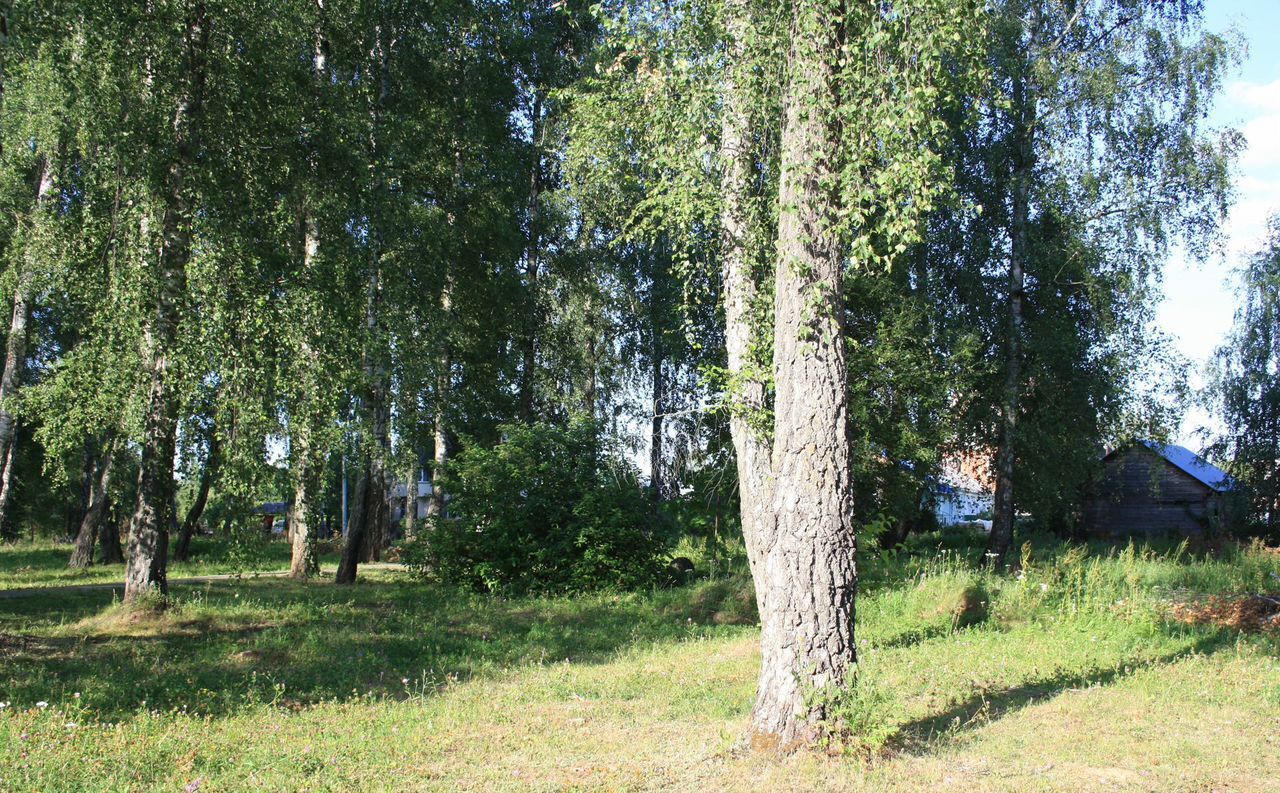земля г Домодедово мкр Барыбино 38 км, Новокаширское шоссе фото 5