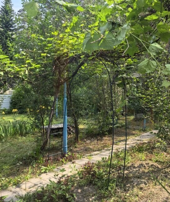 дом г Бердск Новый посёлок ул Пирогова 6 Речной Вокзал, Посёлок фото 8