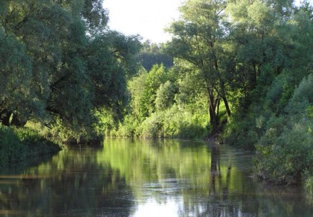 д Романовка сельское поселение Похвиснево, Таруса фото