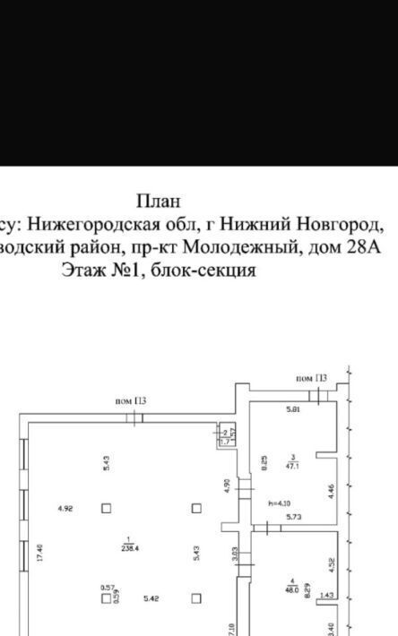 свободного назначения г Нижний Новгород Парк культуры пр-кт Молодежный 28а фото 4