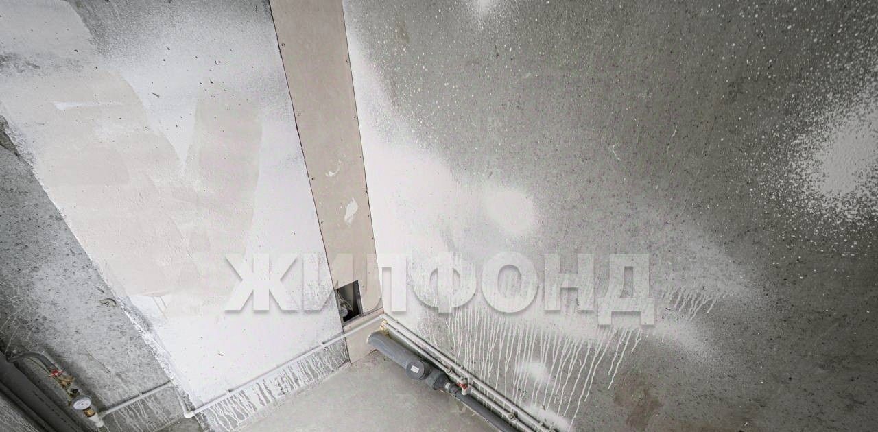 квартира г Новосибирск ул Междуреченская 3 Площадь Ленина фото 18