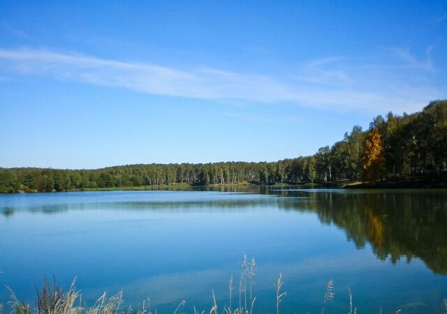 КП Барыбино Парк 34 км, с. Успенское, Новокаширское шоссе фото