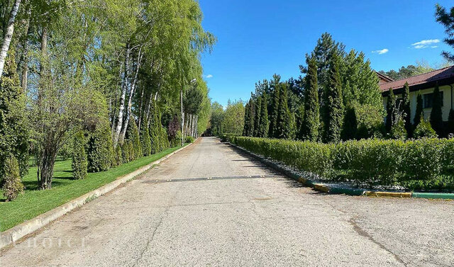 тер СП Барвиха Одинцово фото