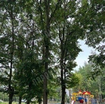 квартира г Тверь р-н Заволжский ул Фрунзе 8к/2 фото 3