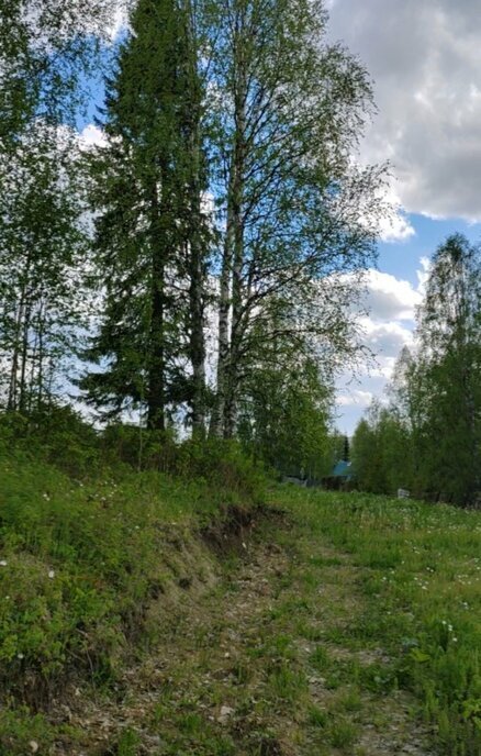 земля г Ухта садово-огородническое товарищество Геолог-69 фото 3
