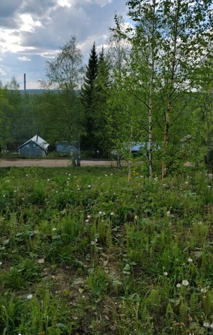 земля г Ухта садово-огородническое товарищество Геолог-69 фото 2