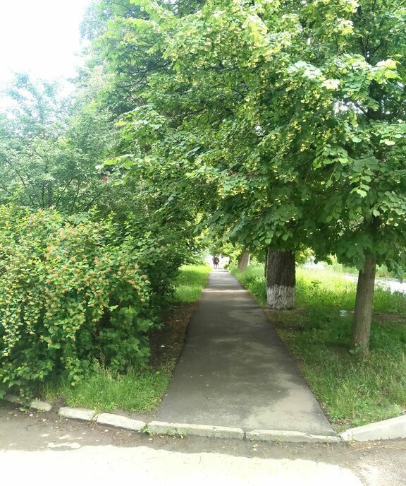 квартира г Курск ул Гоголя 53а фото 26