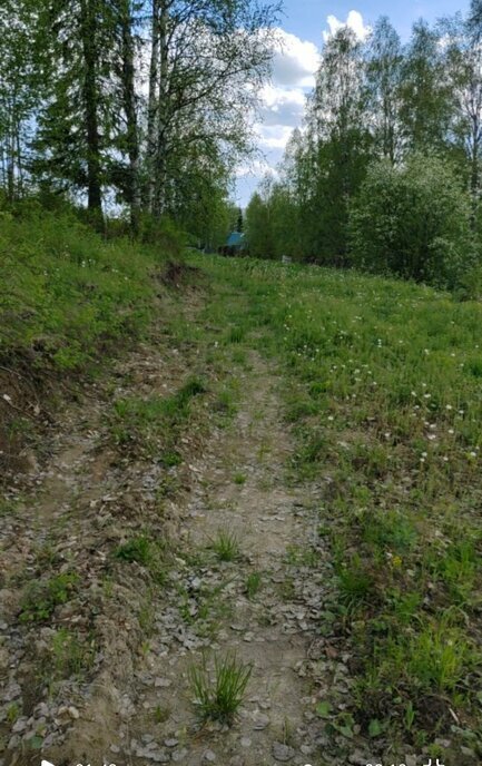 земля г Ухта садово-огородническое товарищество Геолог-69 фото 5