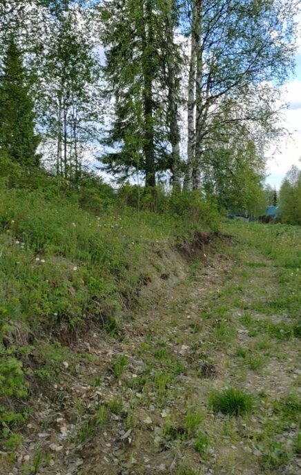 земля г Ухта садово-огородническое товарищество Геолог-69 фото 8