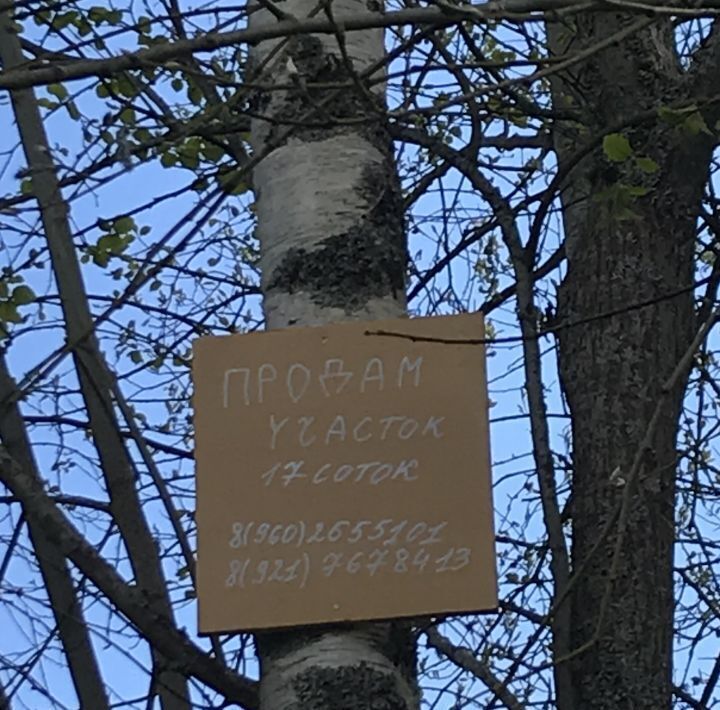 земля р-н Гдовский г Гдов д Подоспа фото 3