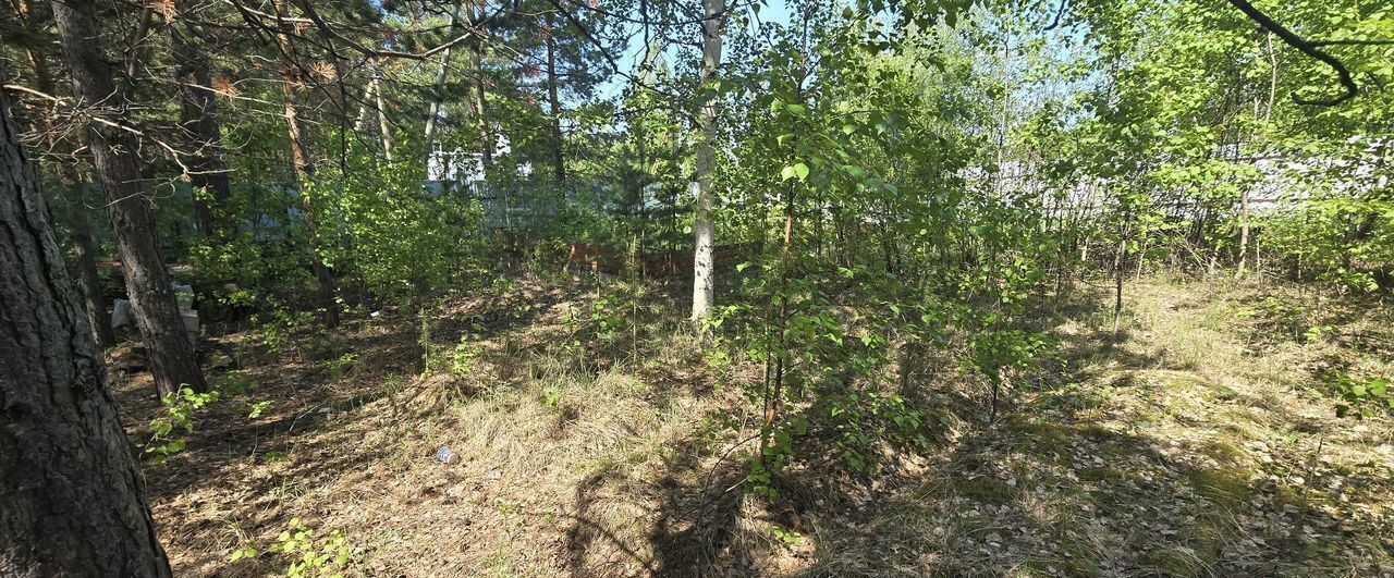 земля г Сургут СТ № 59 Грибное, 204, Тюменская обл. фото 15