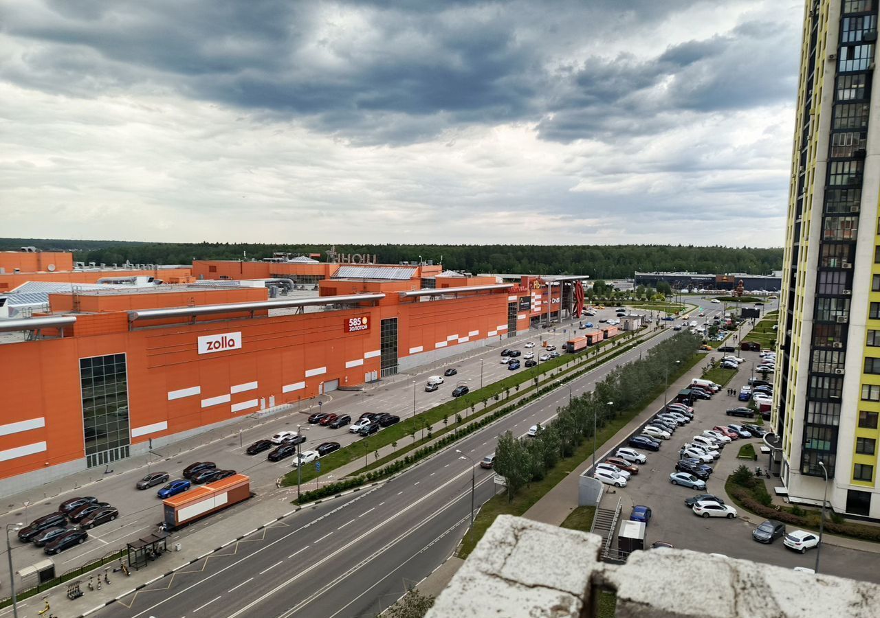 квартира г Мытищи Мытищи-16 ул Борисовка 24 Медведково фото 32