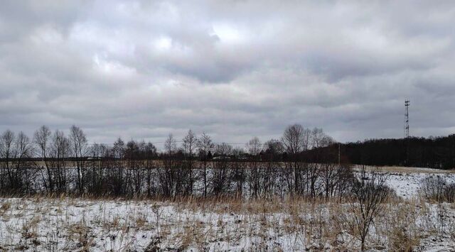 д Мерлеево фото
