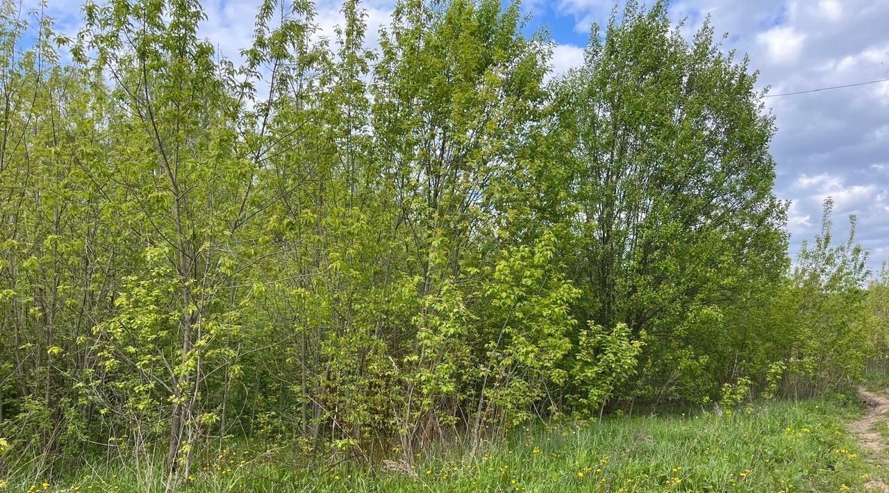 офис г Домодедово д Чулпаново Подольск фото 3